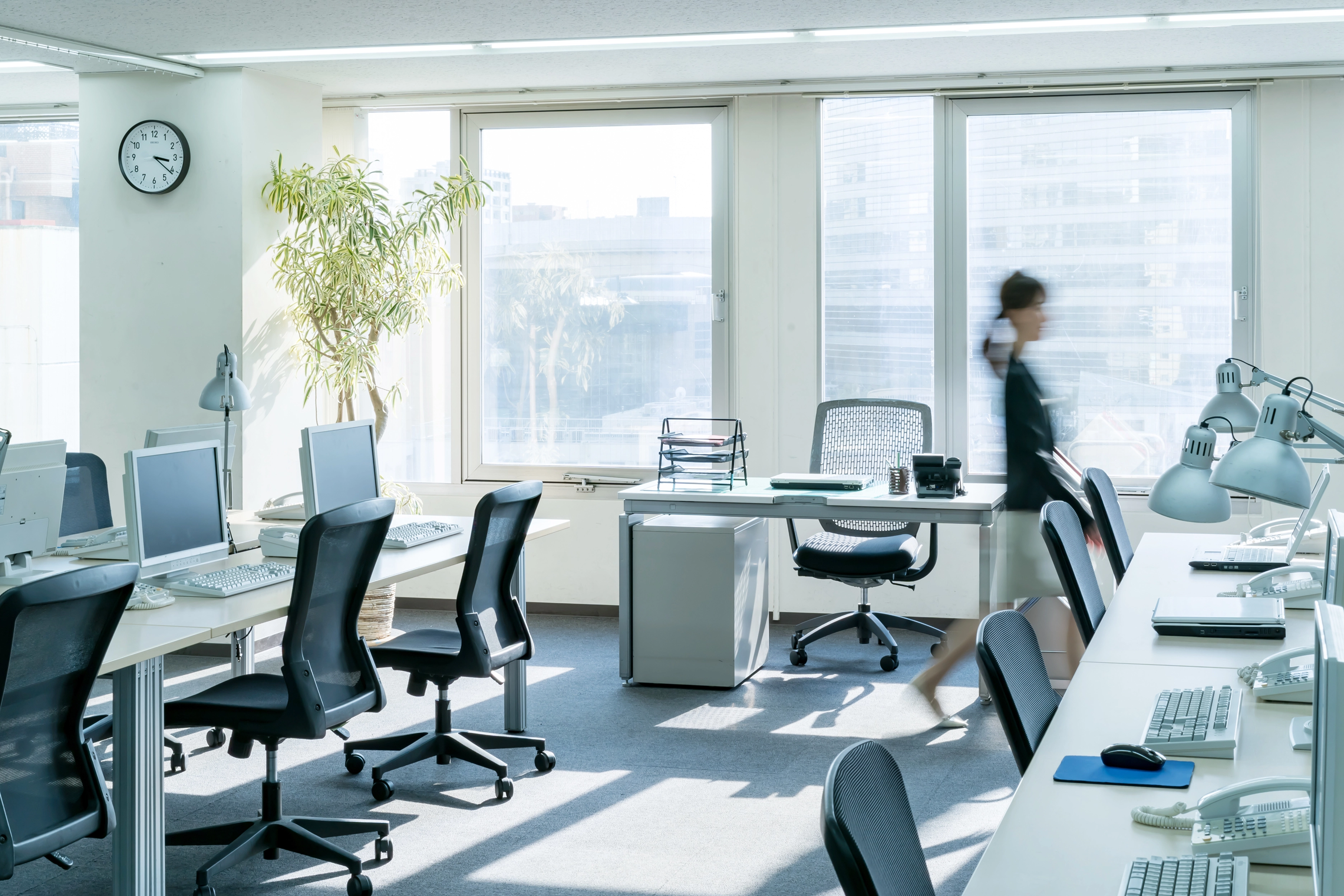 専門店ならではの